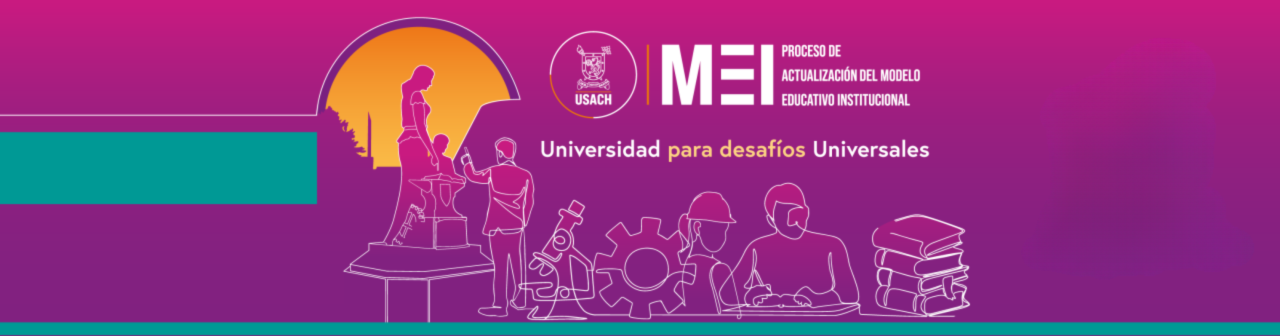 Proceso de Actualización Modelo Educativo Institucional Usach